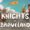 Knights Of Braveland